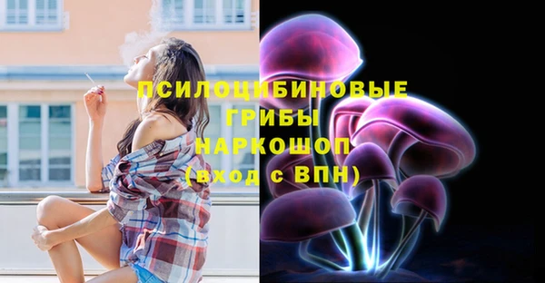 дмт Нея