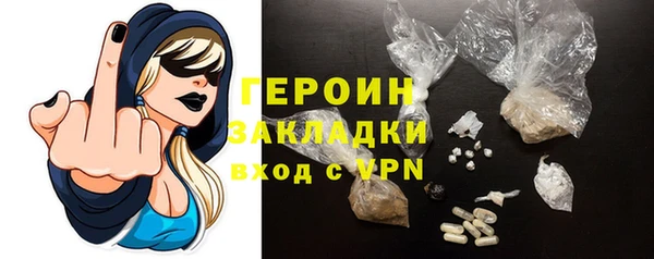 гашик Гусев