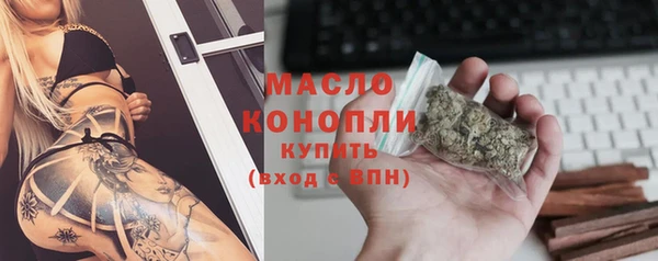 индика Дмитров