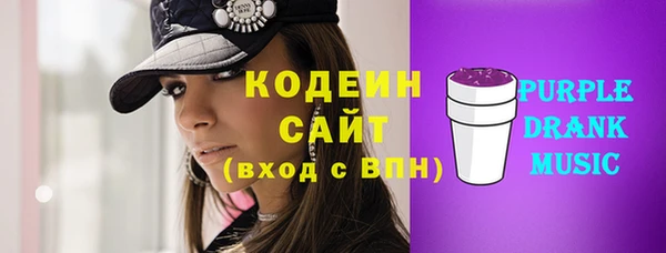 гашик Гусев