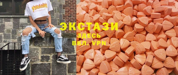 индика Дмитров