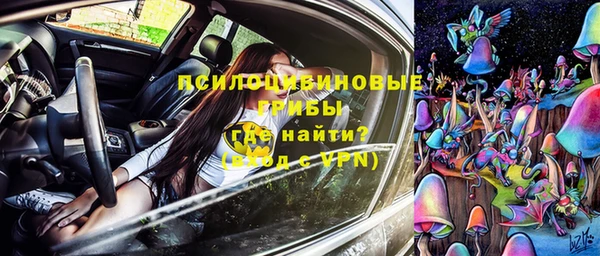 герыч Гусь-Хрустальный