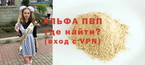прущие грибы Елабуга